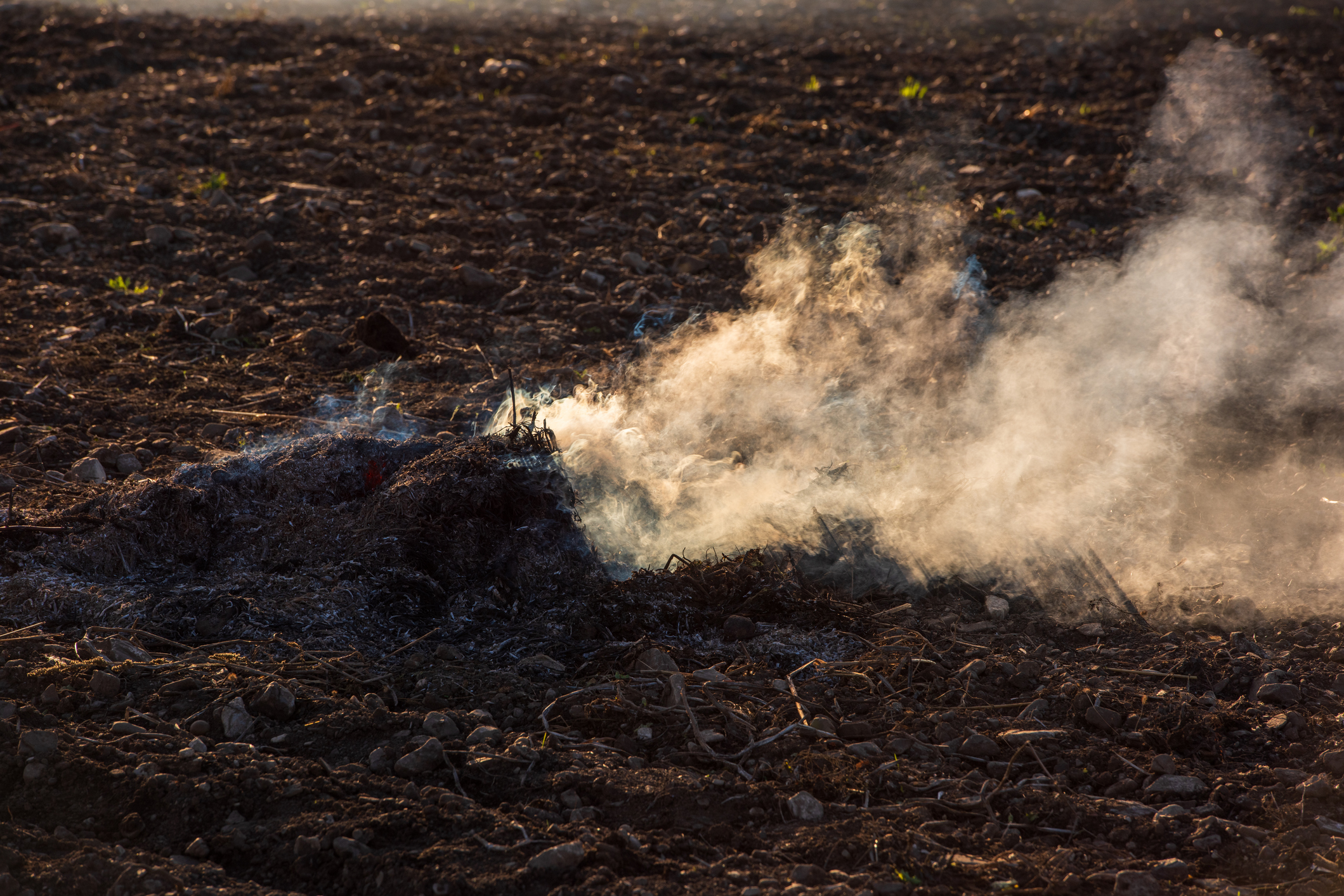 Plantation Explosion